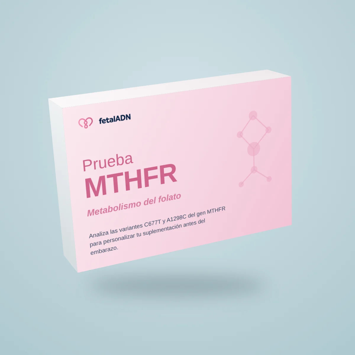 Prueba MTHFR