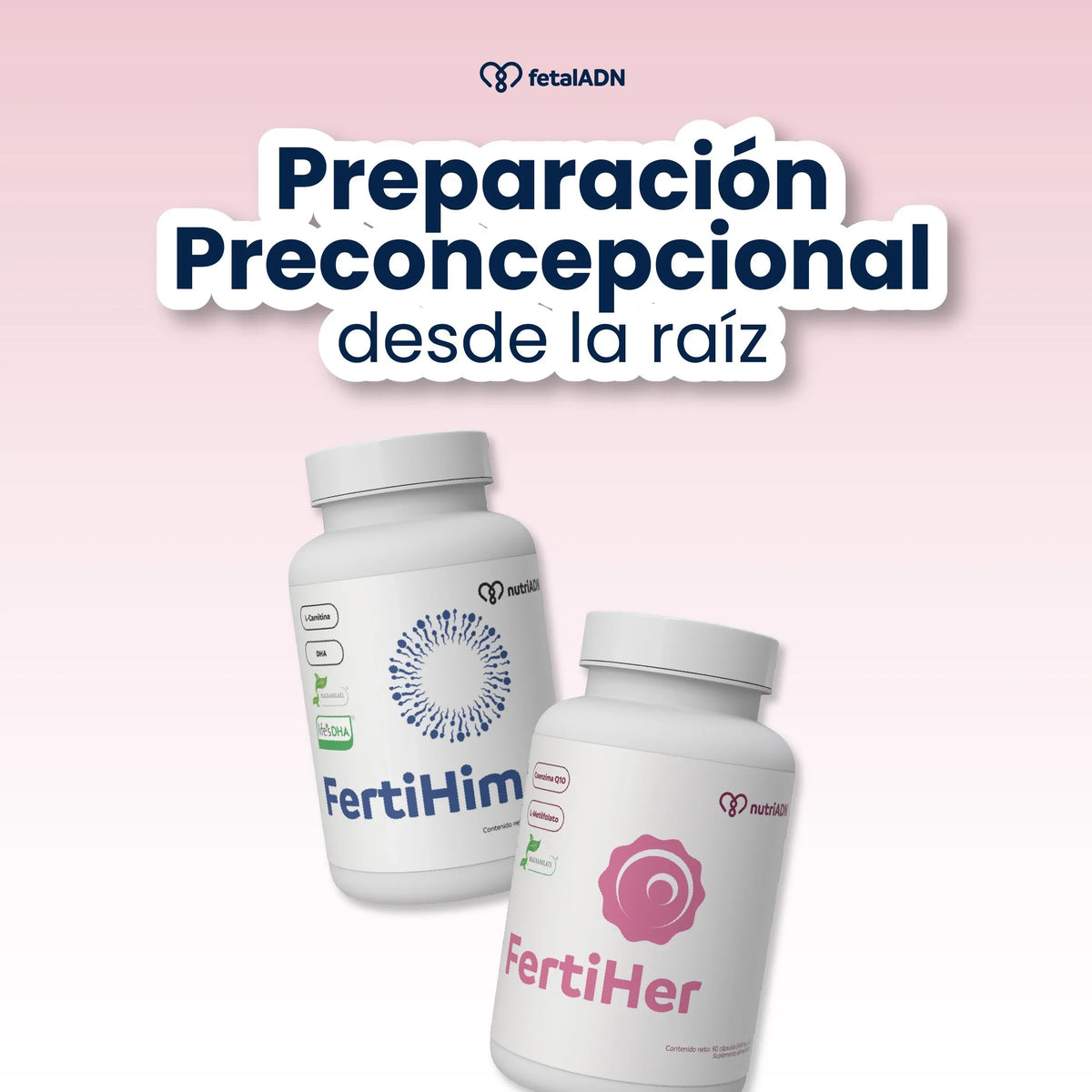 La Guía Definitiva de la Preparación Preconcepcional: Nutriendo tu fertilidad desde la raíz.