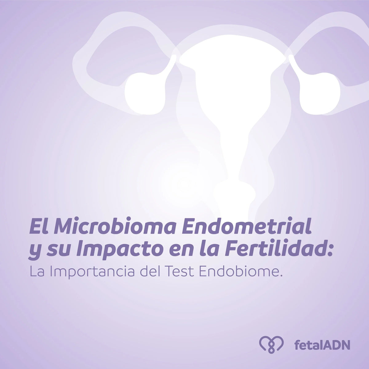 El Microbioma Endometrial y su Impacto en la Fertilidad: La Importancia del Test Endobiome