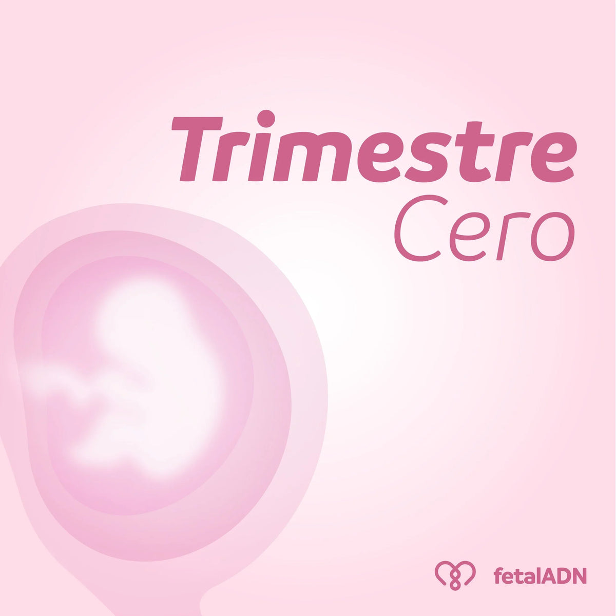 "El Trimestre 0: Preparándote para un Embarazo Saludable con Nutrigenética Healthy Baby"