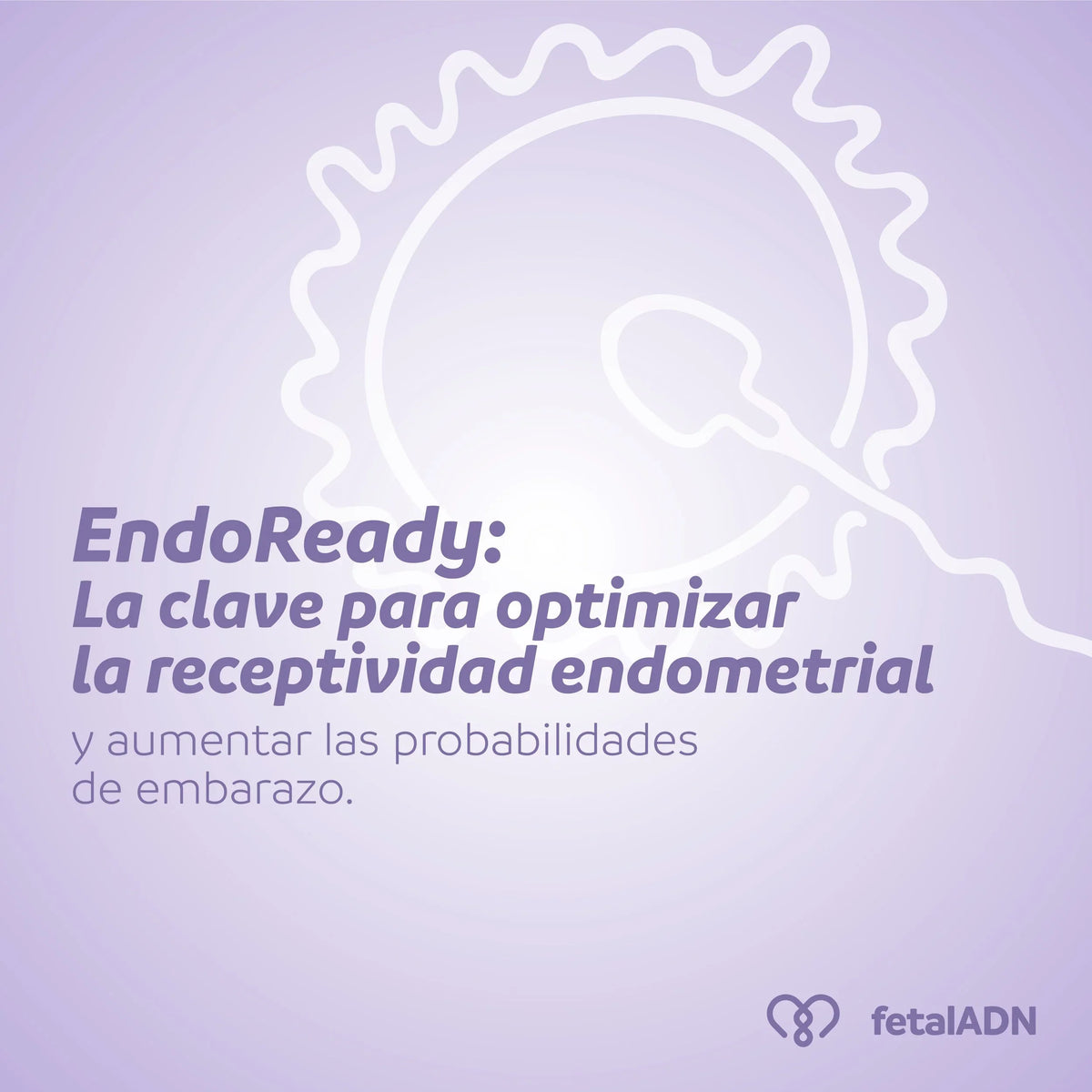 EndoReady: La Clave para Optimizar la Receptividad Endometrial y Aumentar las Probabilidades de Embarazo