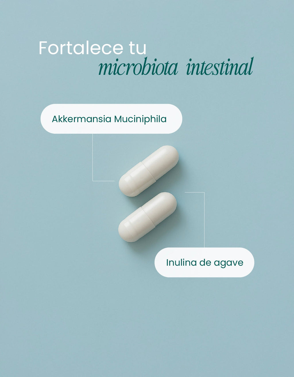 Akkermansia Support · nutriADN
