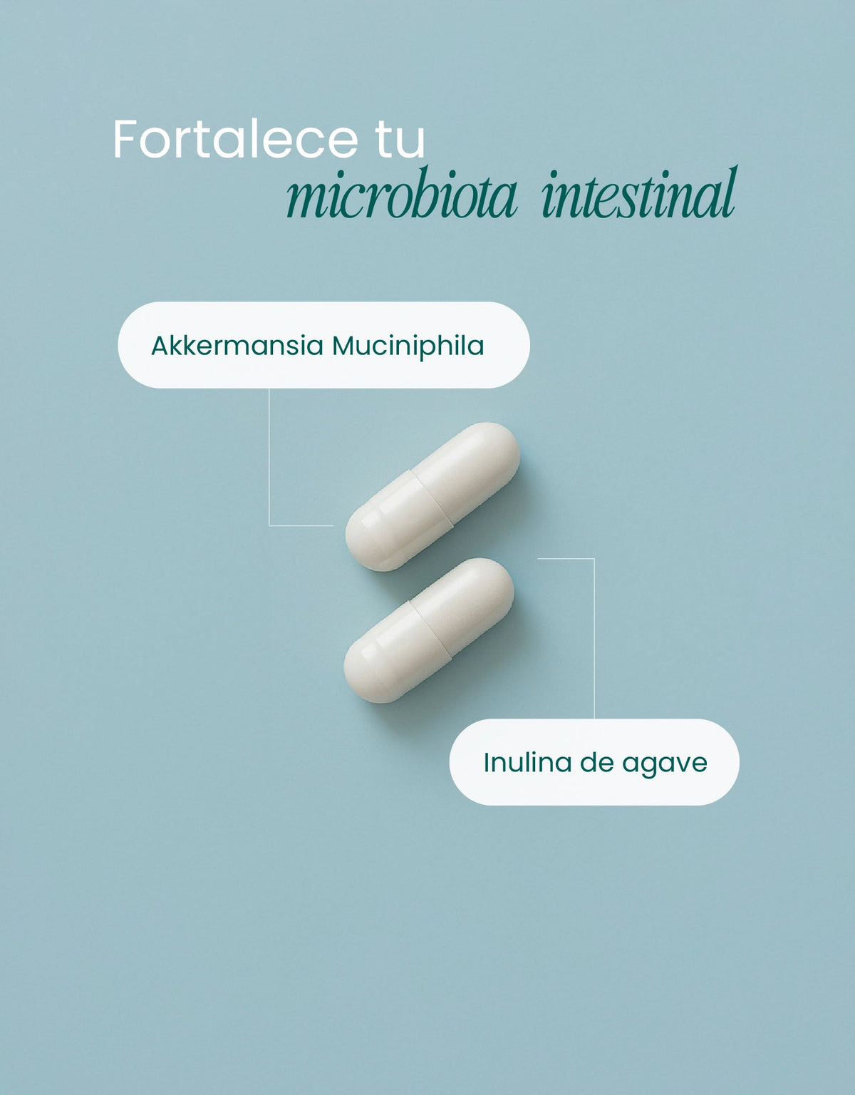 Akkermansia Support · nutriADN