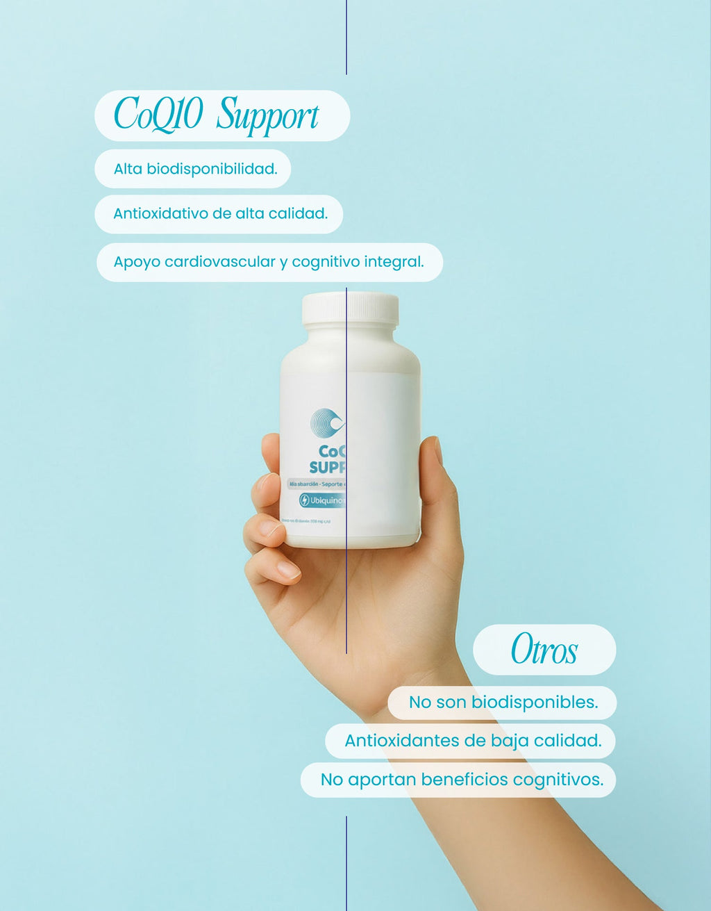 CoQ10 Support