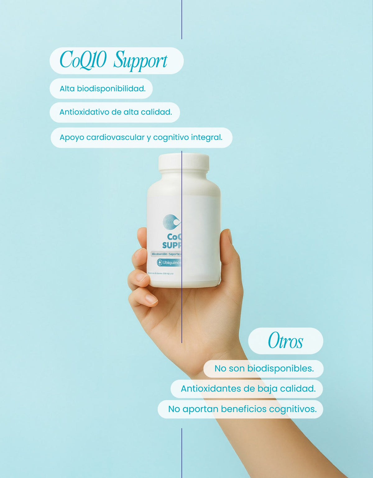 CoQ10 Support