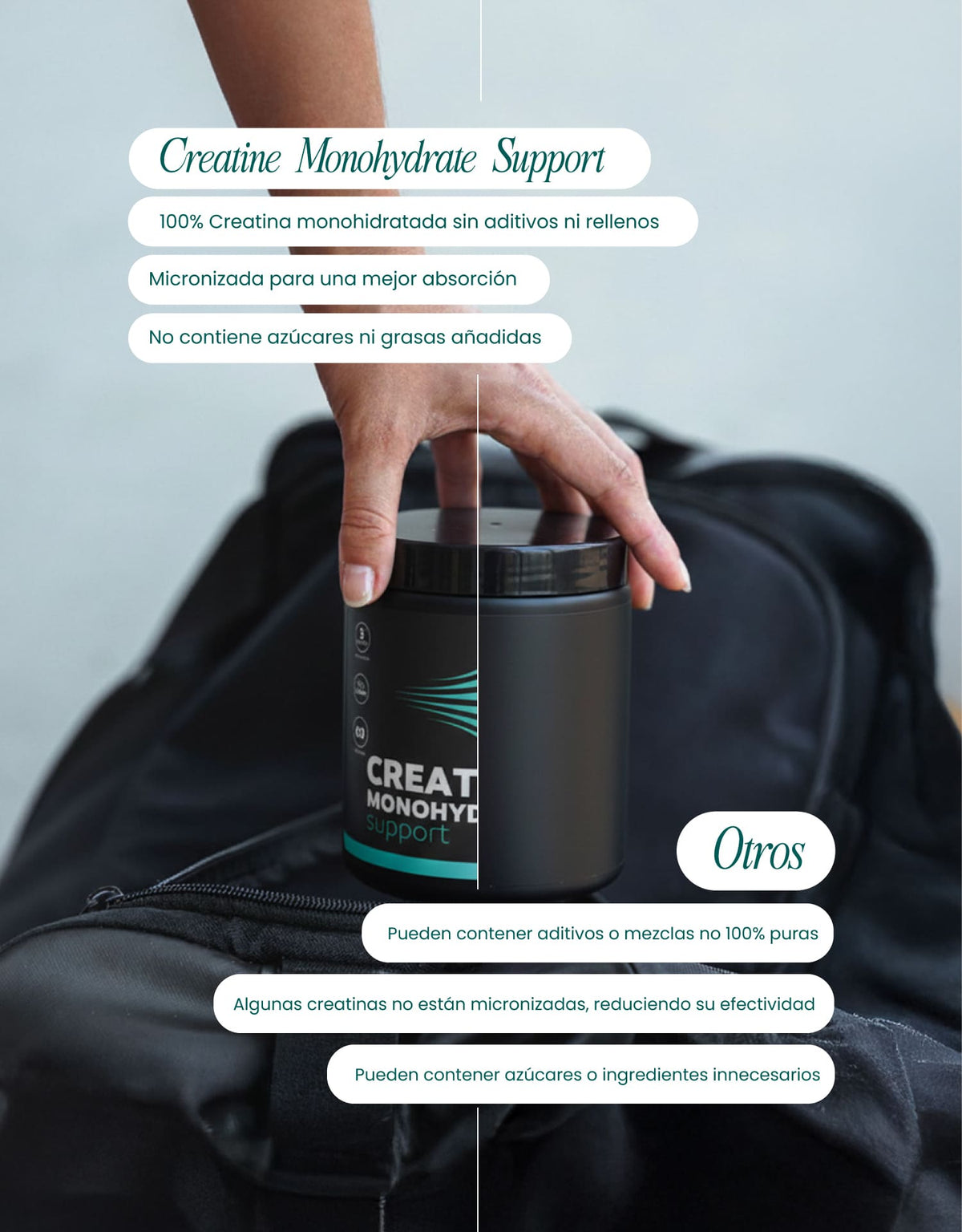 Creatine Monohydrate Support · nutriADN