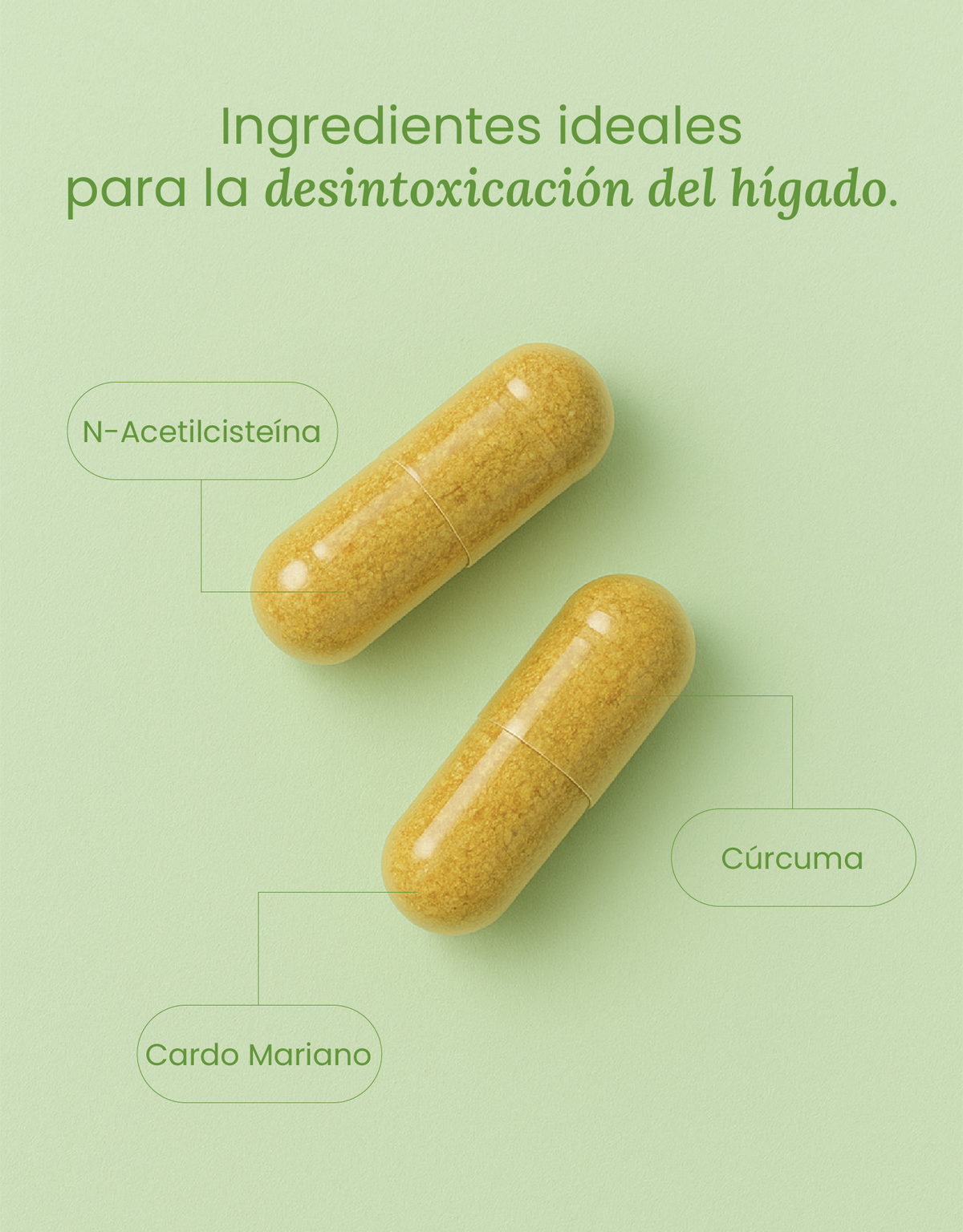 Detox Support · nutriADN