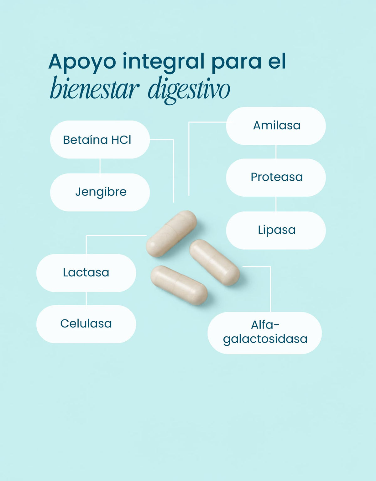 Digestive Enzymes · nutriADN