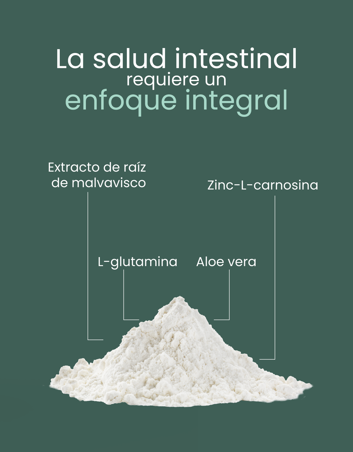 Gut Repair · nutriADN