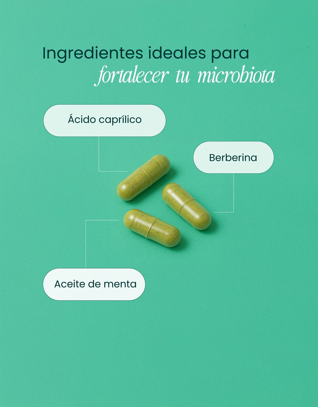 Gut Support · nutriADN