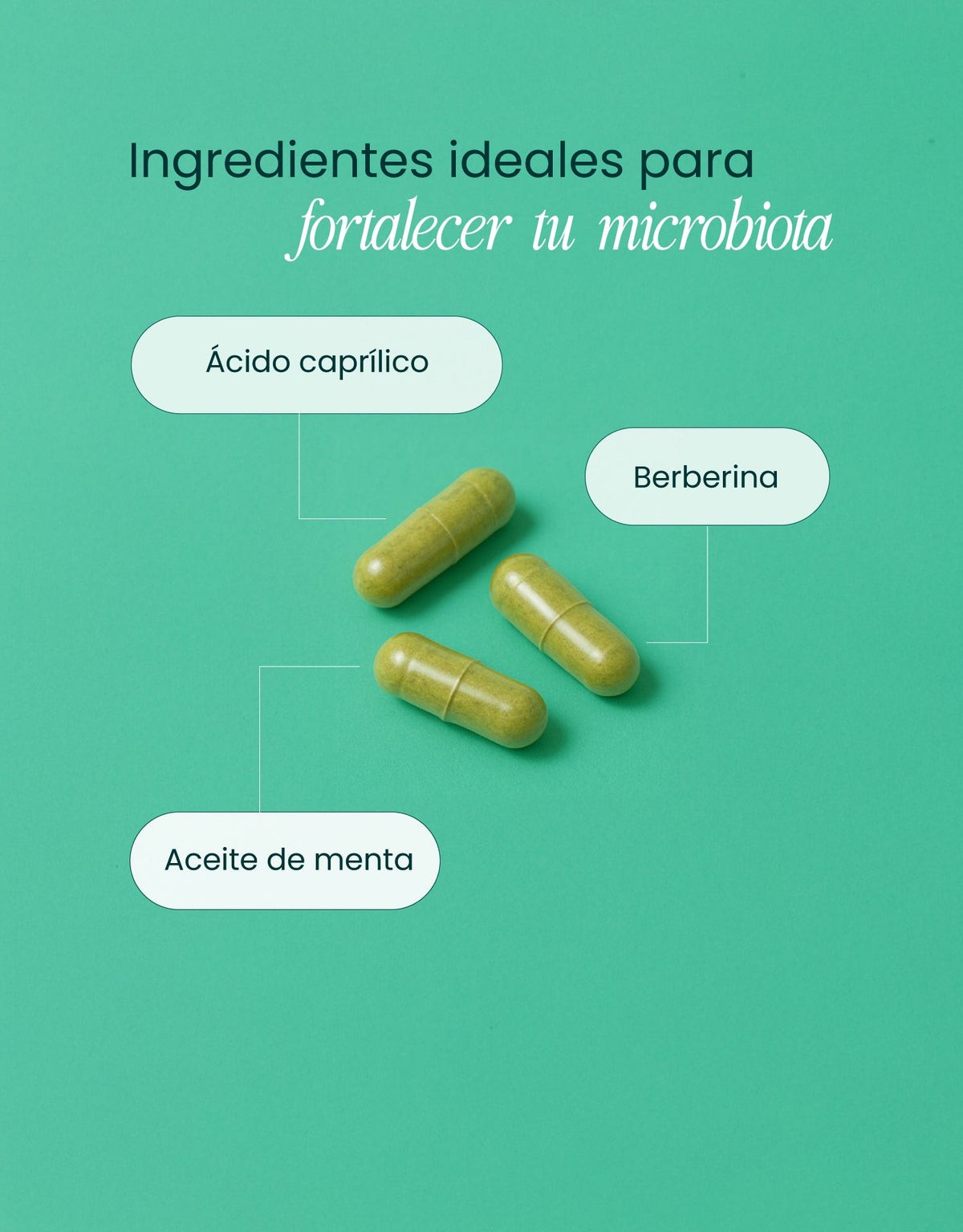 Gut Support · nutriADN