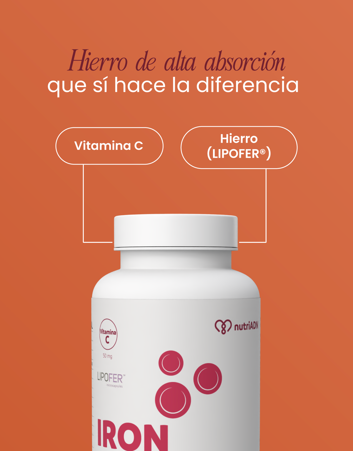Iron Plus · hierro de alta absorción