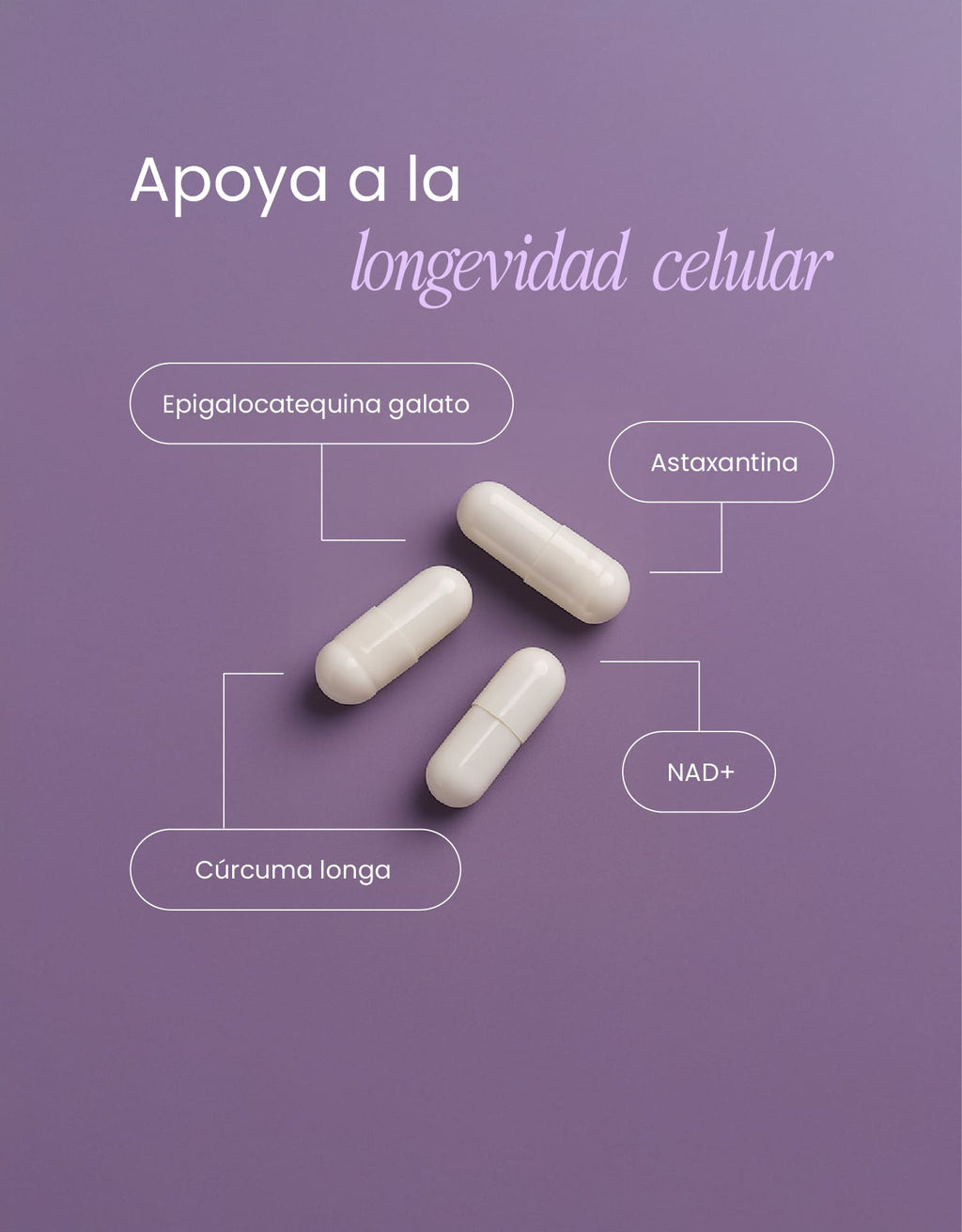 Longevity Support · nutriADN