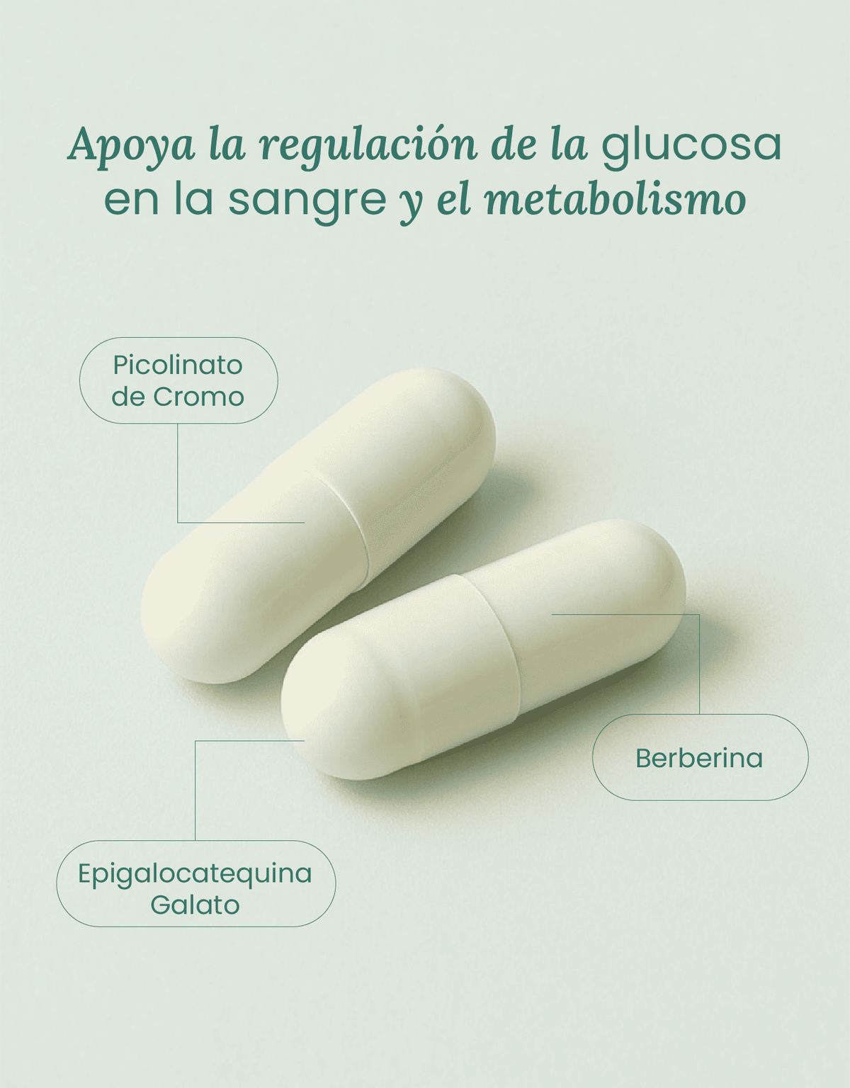 Metabolic Support · nutriADN