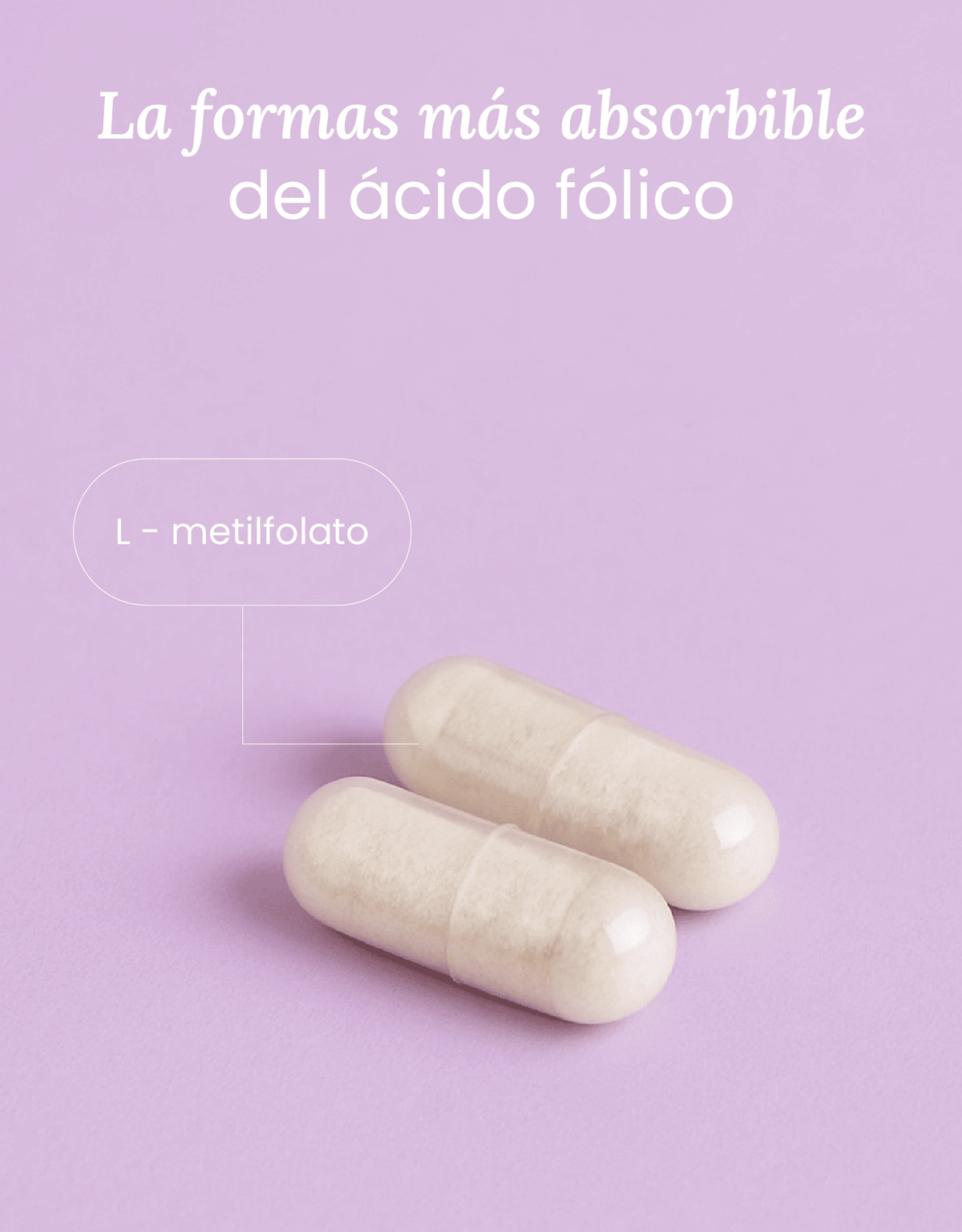 Methyl Folate Support