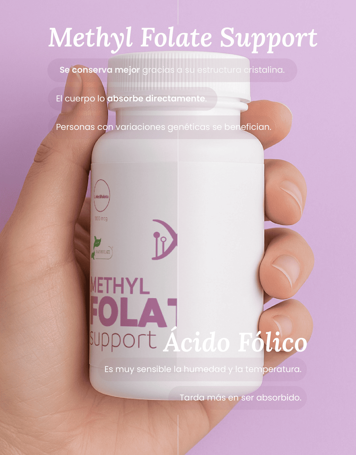 Methyl Folate Support