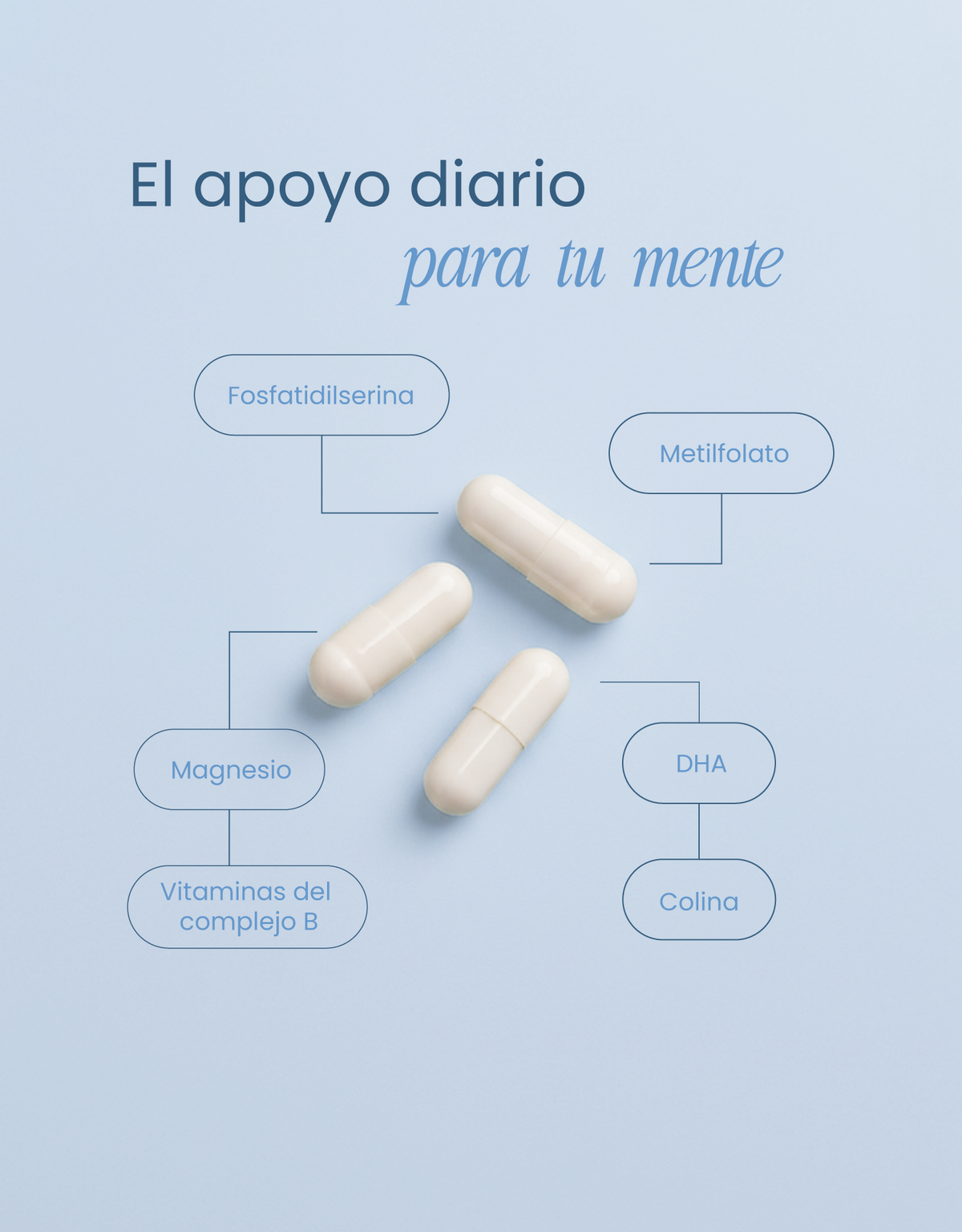 Mind Support · nutriADN