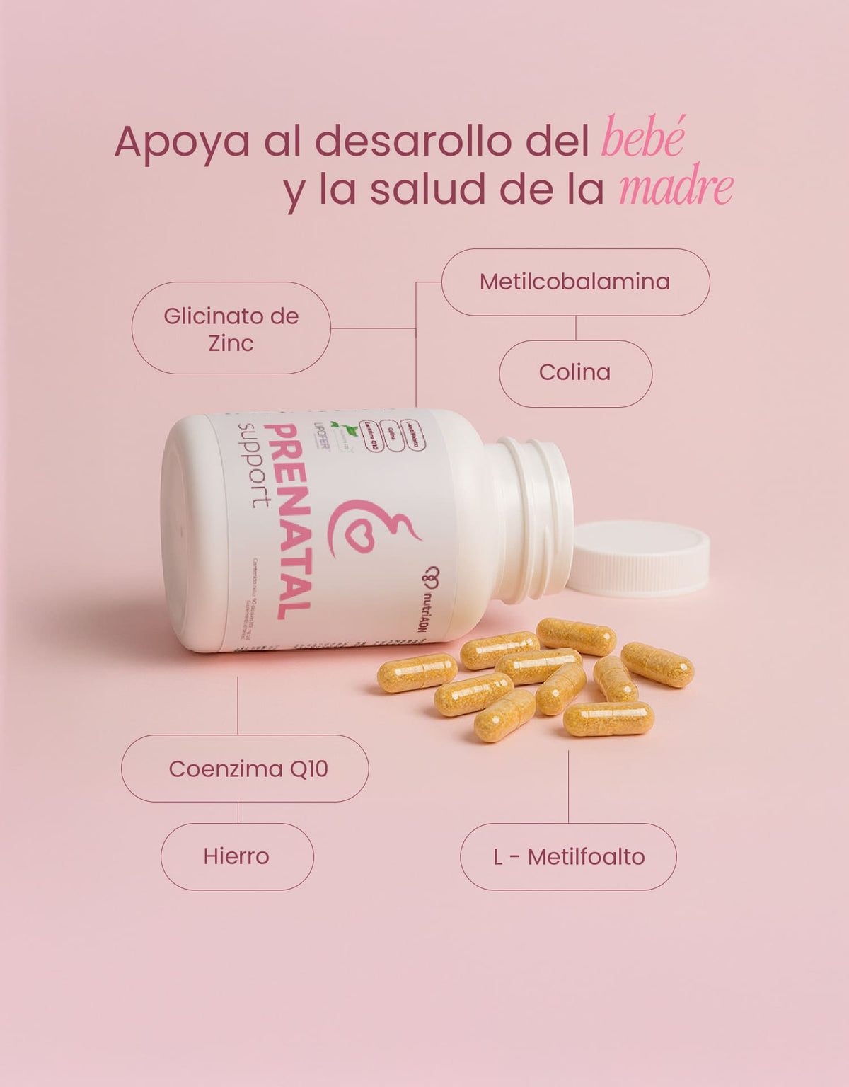 Prenatal Support | Metilfolato Magnafolate®, Hierro LIPOFER® y Colina | Nutrición materna