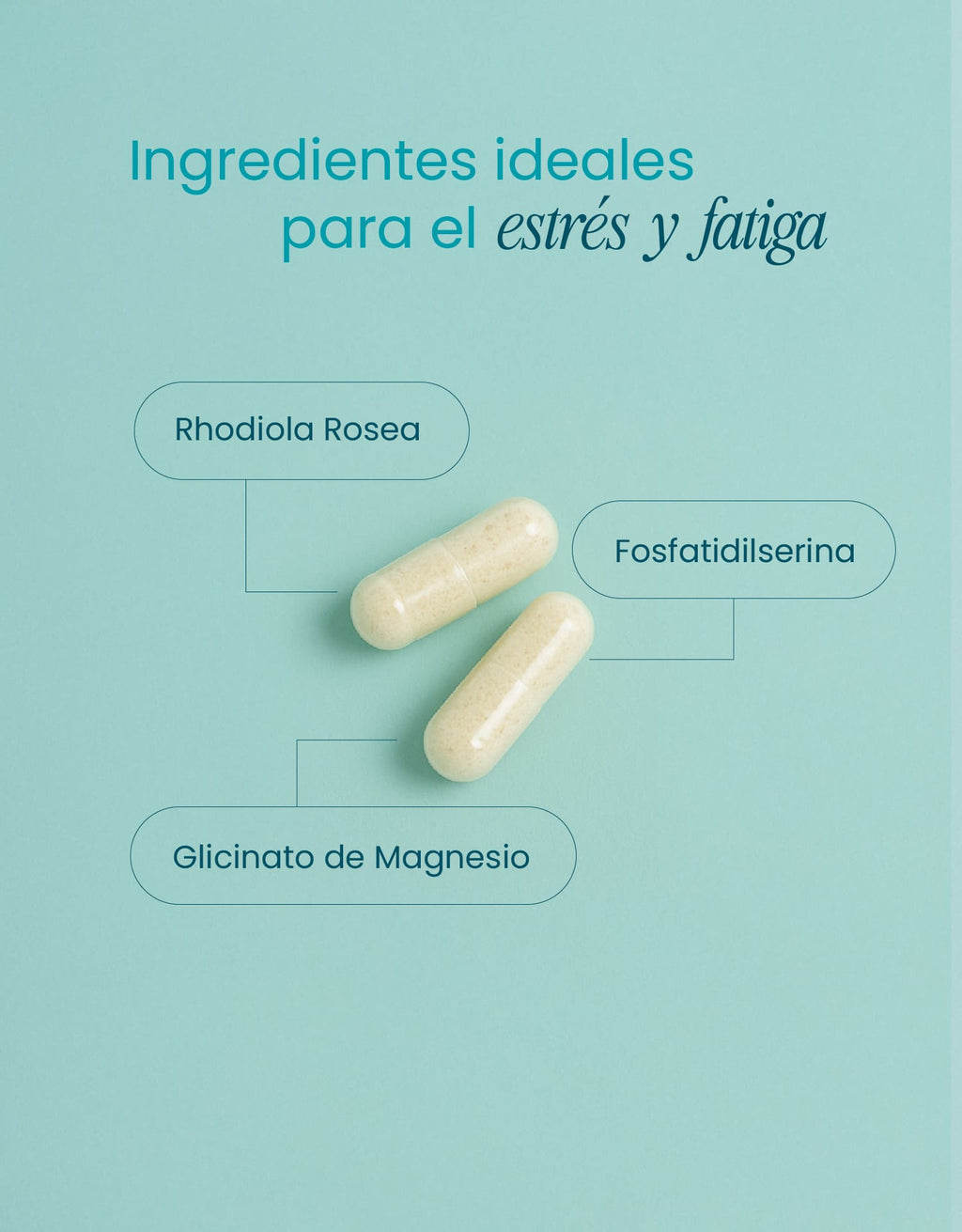 Stress Support · nutriADN