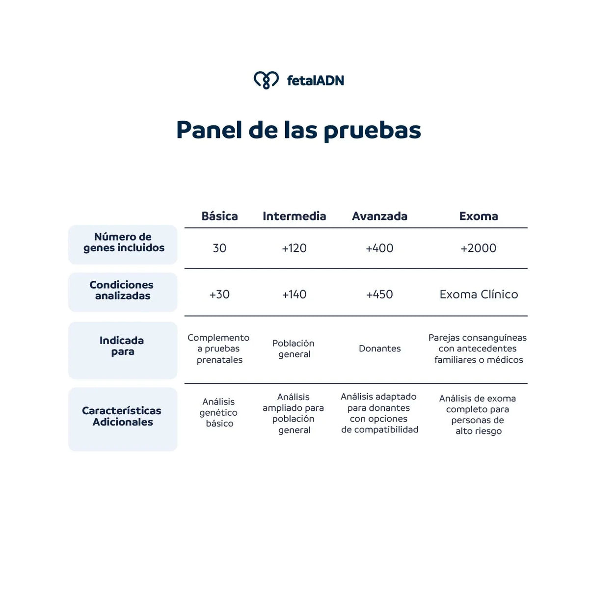Prueba de Portadores